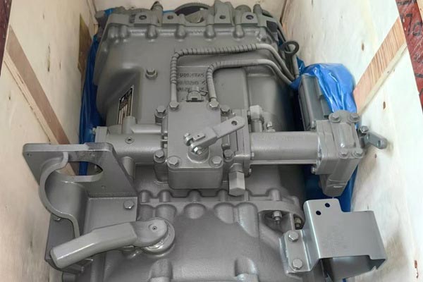 Immisa nooc oo xawilaad xamuul ah ayaa jira?