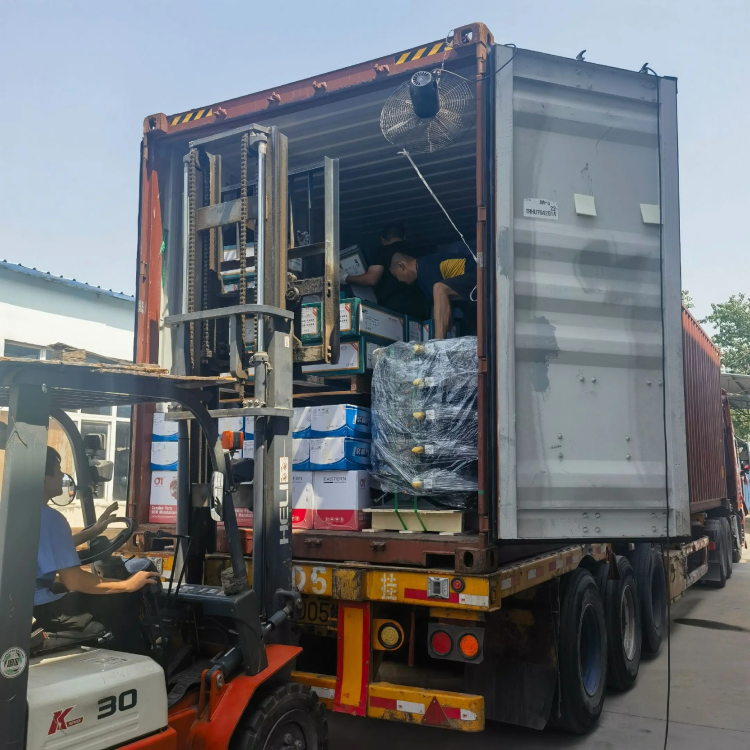 Qeybaha gawaarida culus ee cirka ee Skymond - drive si fudud, oo meel kasta lagu kalsoon yahay!